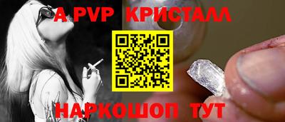 дживик Нальчик