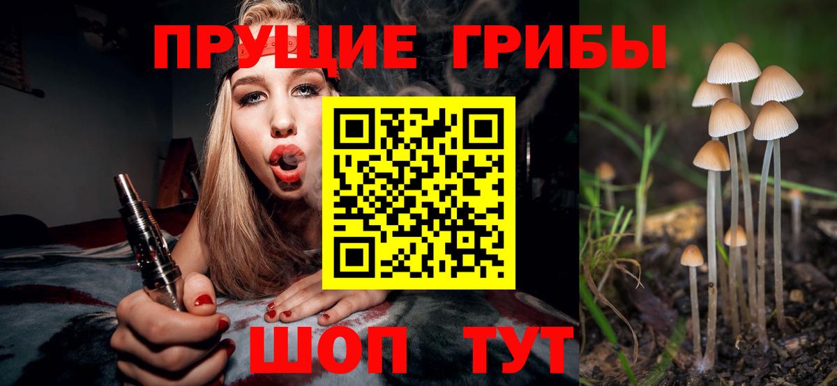 наркошоп  Вход с VPN  Бугуруслан  Псилоцибиновые грибы мицелий 